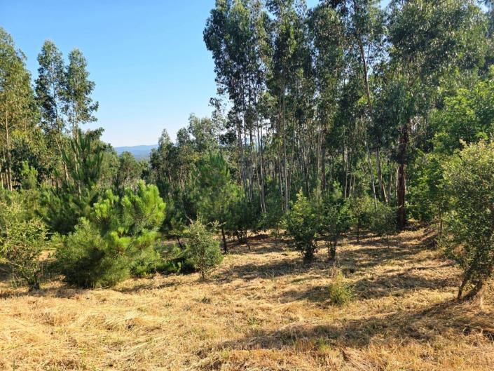 Image No.3-Plot for sale