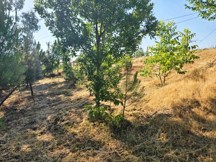 Image No.8-Plot for sale
