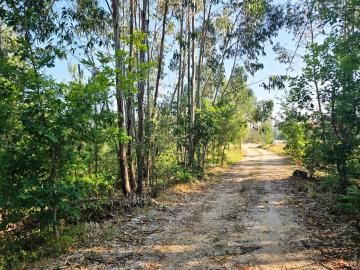 12---1411--Large-