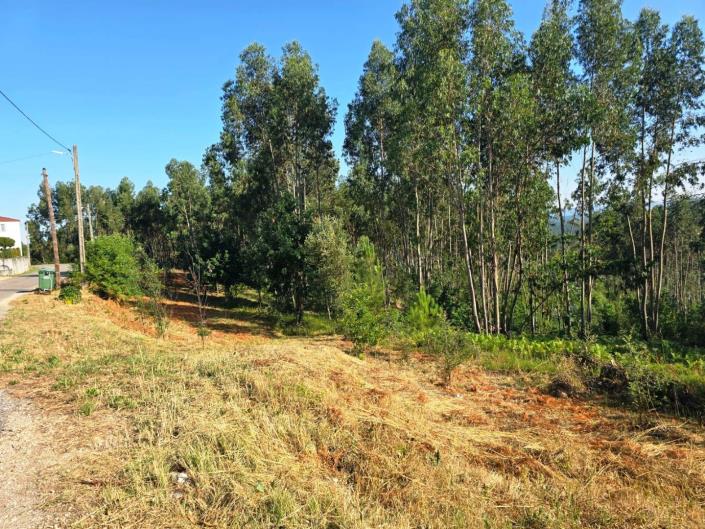 Image No.16-Plot for sale