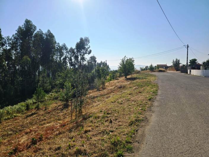 Image No.17-Plot for sale
