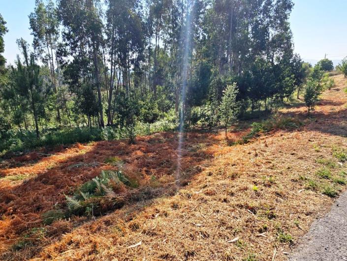Image No.4-Plot for sale