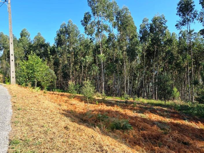 Image No.5-Plot for sale