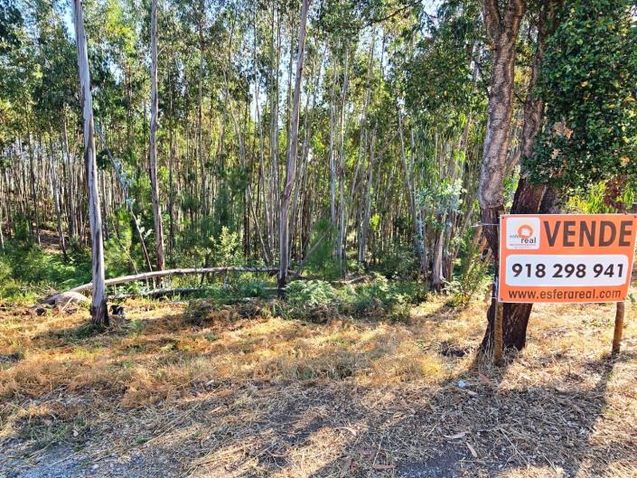 Image No.6-Plot for sale