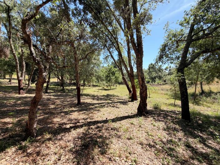 Image No.21-Land for sale