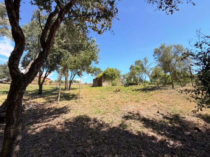 Image No.22-Land for sale