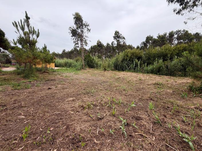 Image No.21-Land for sale