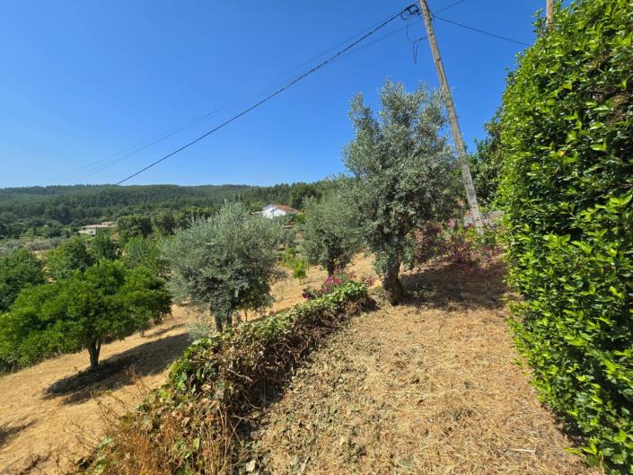 Image No.41-3 Bed House for sale