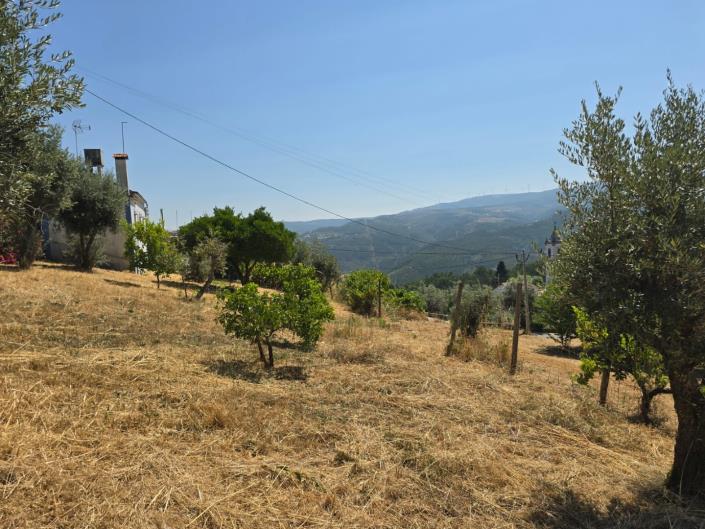 Image No.43-3 Bed House for sale