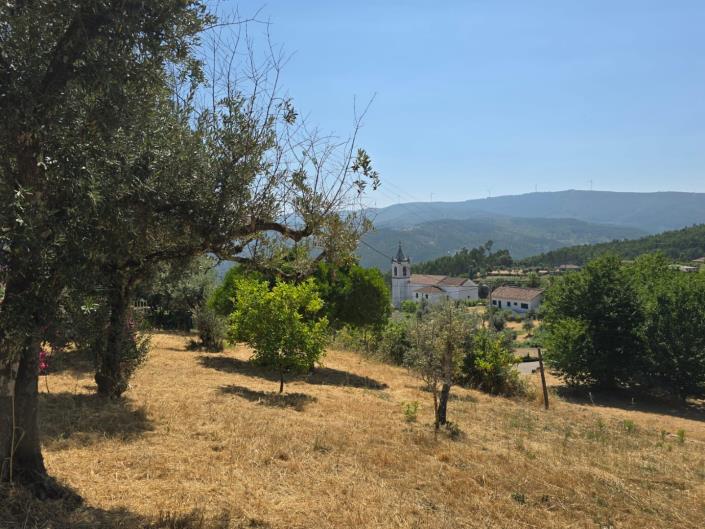 Image No.45-3 Bed House for sale