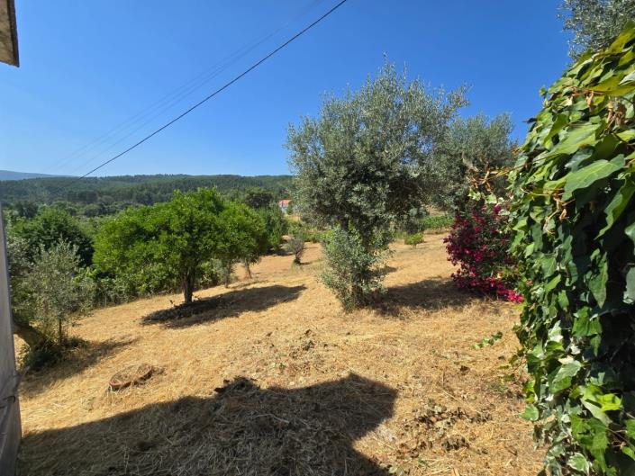 Image No.49-3 Bed House for sale