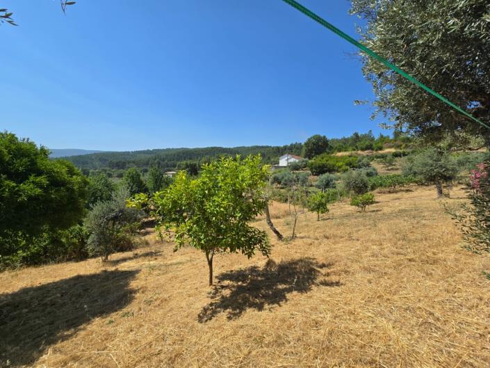Image No.50-3 Bed House for sale