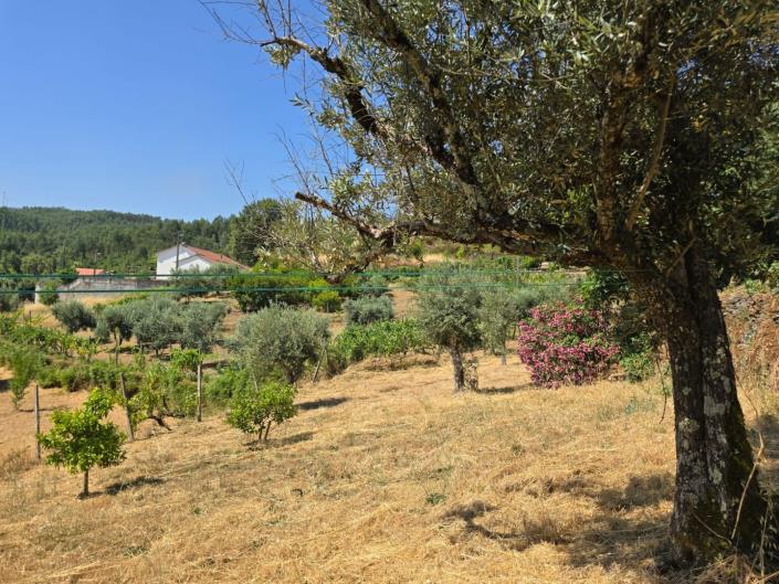 Image No.51-3 Bed House for sale