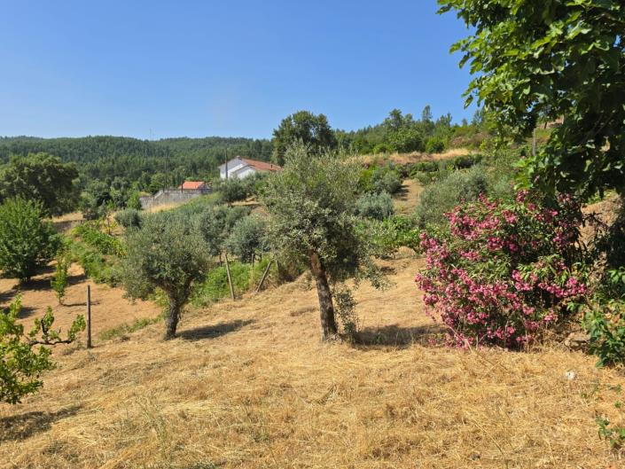 Image No.52-3 Bed House for sale