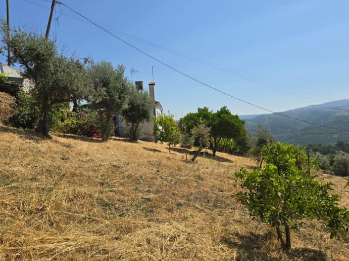 Image No.53-3 Bed House for sale