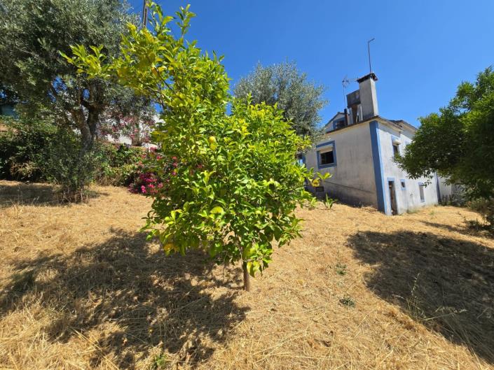 Image No.55-3 Bed House for sale