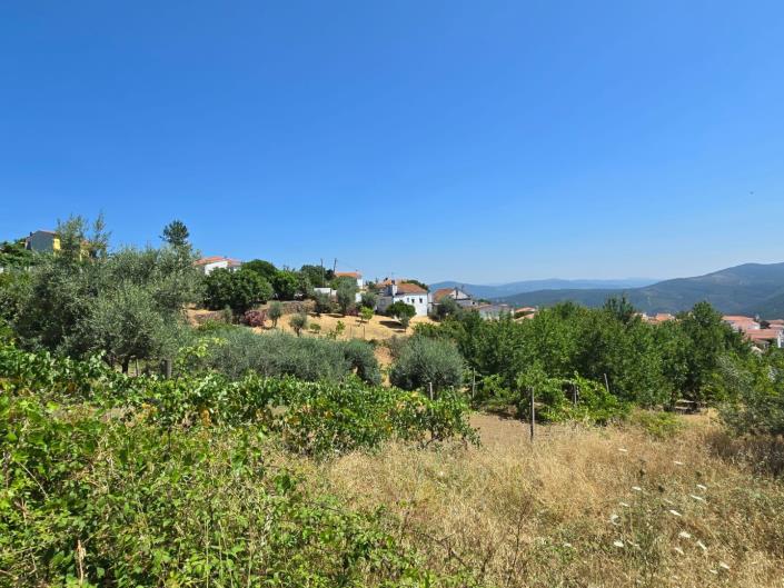 Image No.59-3 Bed House for sale