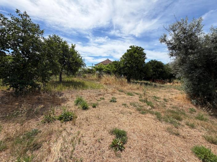 Image No.48-3 Bed Farmhouse for sale