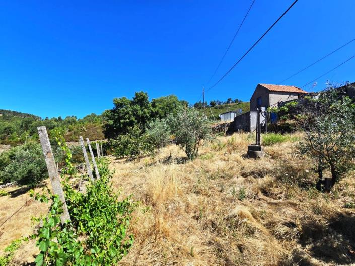 Image No.5-Village House for sale