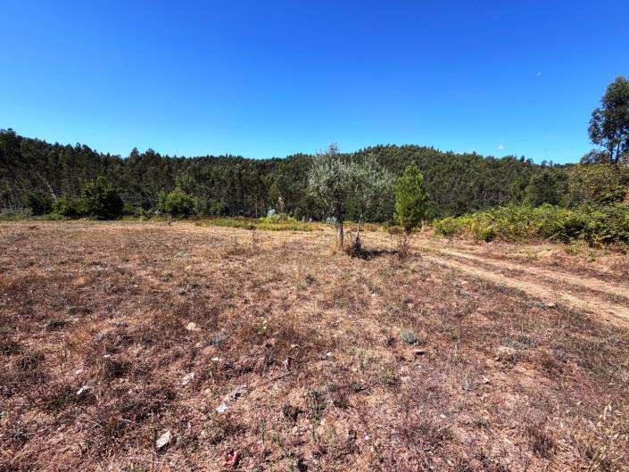 Image No.5-Land for sale