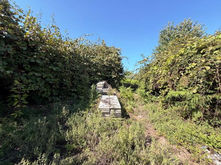 Image No.7-Plot for sale