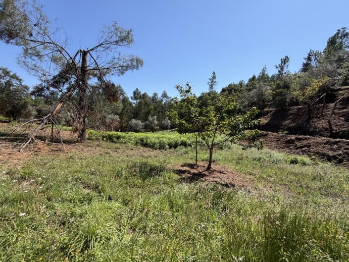 Image No.9-Land for sale