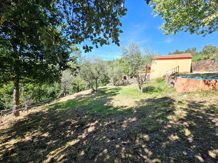 Image No.44-3 Bed House for sale