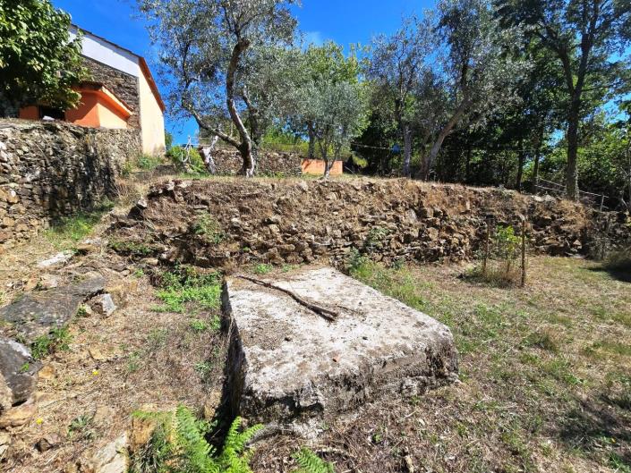Image No.54-3 Bed House for sale