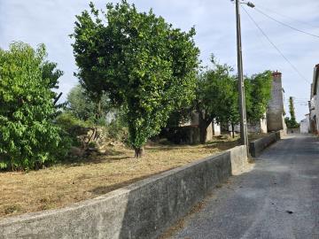 14---1442--Large-