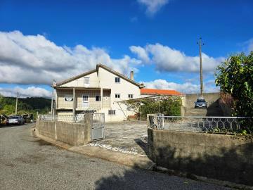 1---1445--Large-
