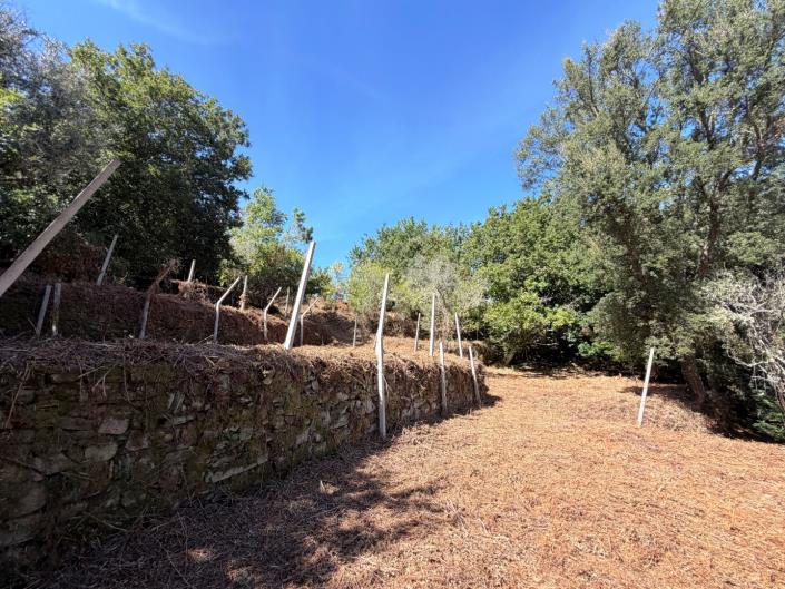 Image No.9-Land for sale
