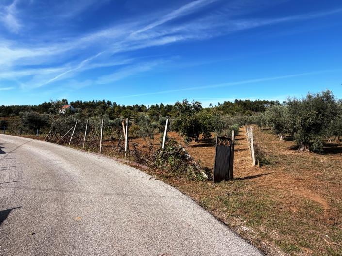 Image No.4-Land for sale