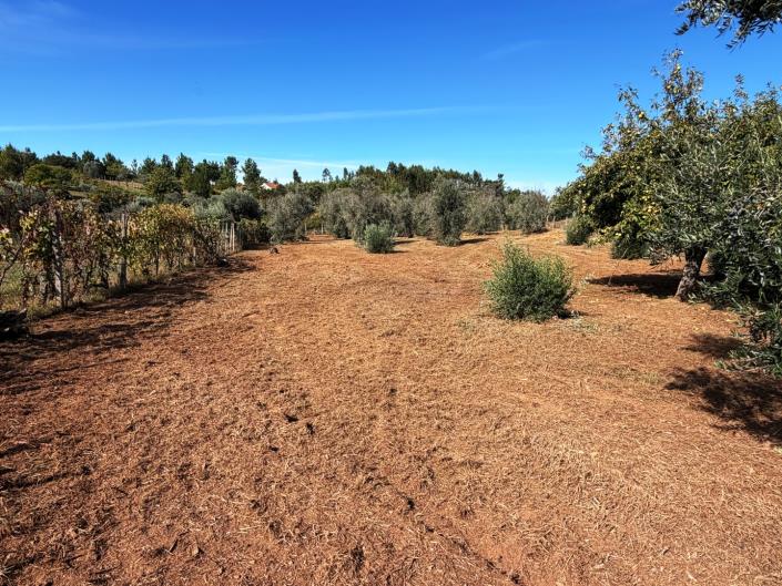 Image No.5-Land for sale