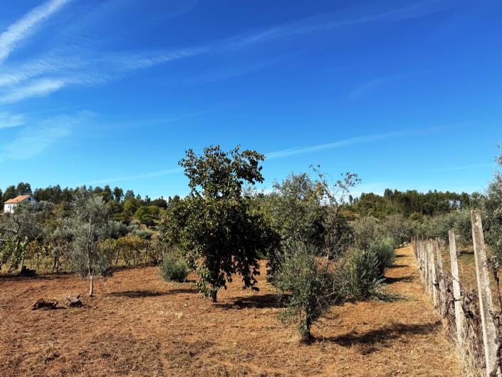 Image No.8-Land for sale