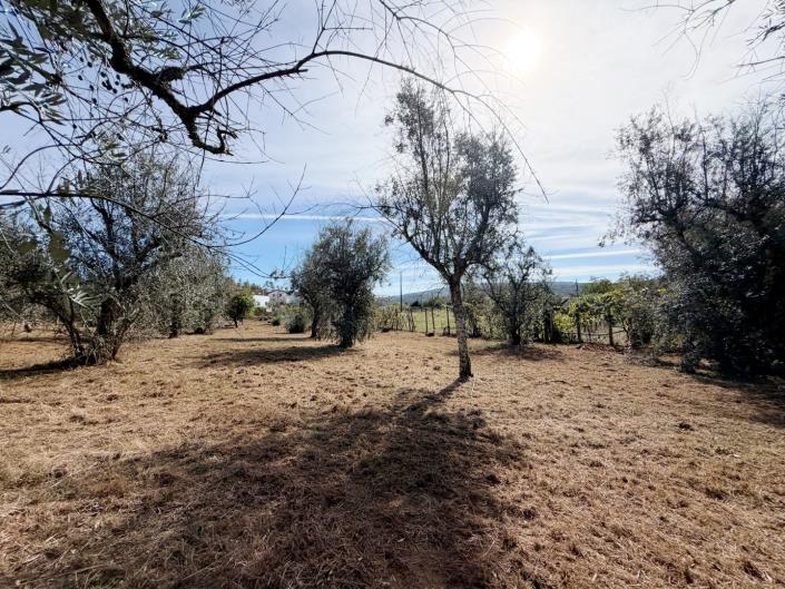 Image No.9-Land for sale