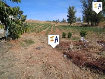 Image No.8-4 Bed Farmhouse for sale