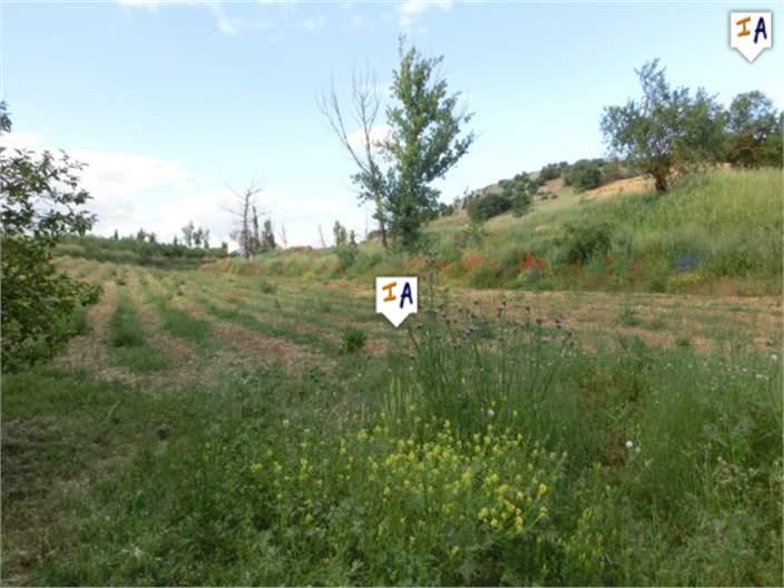 Image No.10-4 Bed Farmhouse for sale