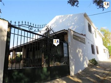 cj3421