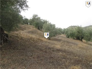 cj34213