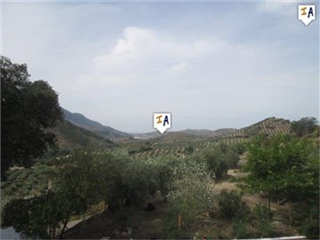 cj3425