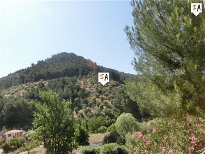 Image No.17-Ferme de 2 chambres à vendre à Montefrío