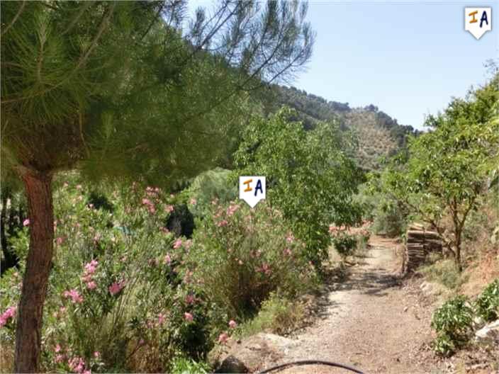 Image No.6-Ferme de 2 chambres à vendre à Montefrío