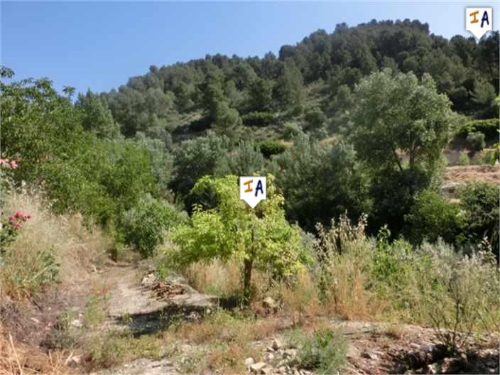 Image No.7-Ferme de 2 chambres à vendre à Montefrío