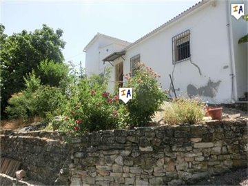 cj4451