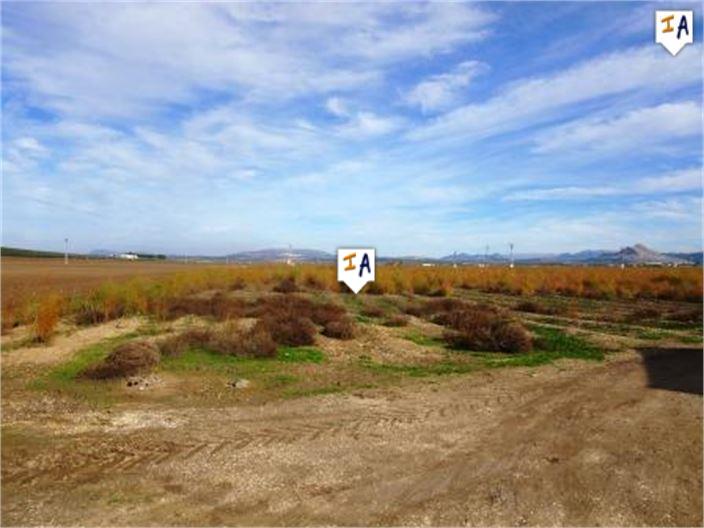 Image No.11-Ferme de 5 chambres à vendre à Mollina