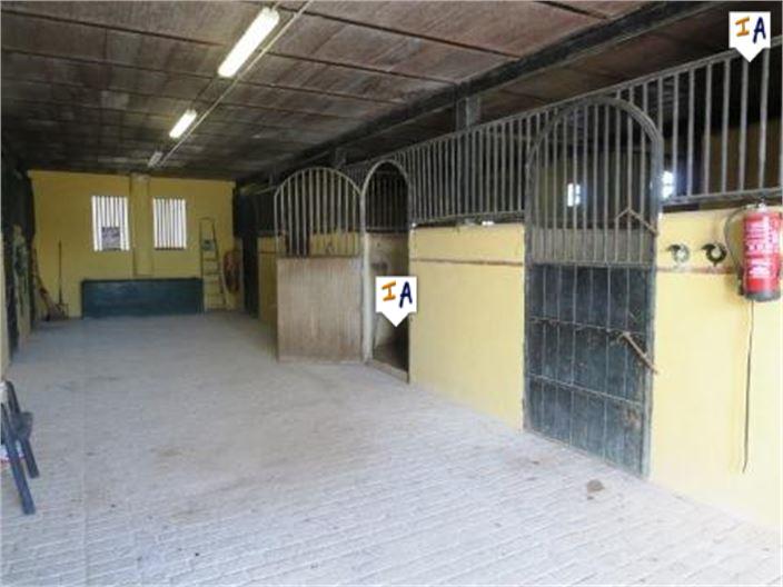 Image No.17-Ferme de 5 chambres à vendre à Mollina