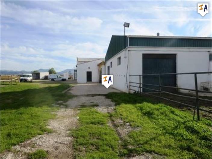 Image No.4-Ferme de 5 chambres à vendre à Mollina