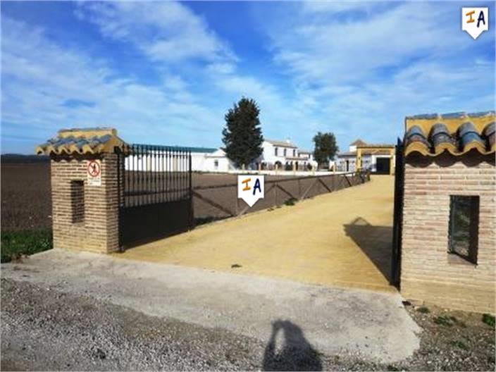 Image No.8-Ferme de 5 chambres à vendre à Mollina