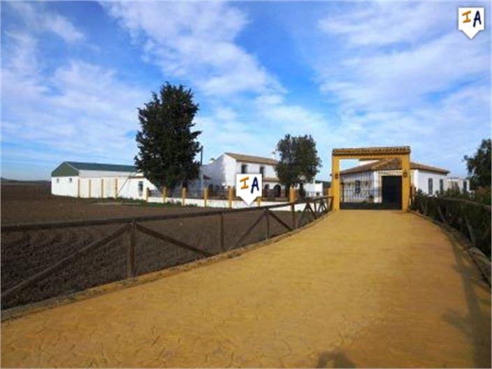 Image No.9-Ferme de 5 chambres à vendre à Mollina