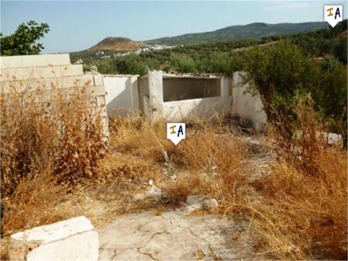 Image No.16-Ferme de 3 chambres à vendre à Villanueva de Algaidas